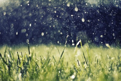 summer_rain_by_meandarksmile-d3nrqyu.jpg (171.93 KiB) 7849 zobrazení summer_rain_by_meandarksmile-d3nrqyu.jpg
